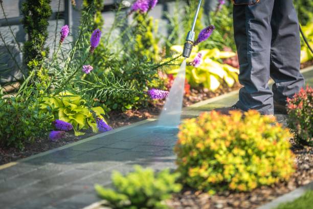 Best Dumpster Area Cleaning  in North Potomac, MD